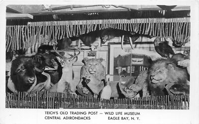 PC1/ Eagle Bay Adirondacks New York RPPC Postcard c40s Teich's Trading Post 170