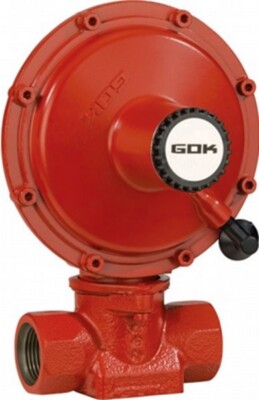 GOK Gasregler NDR0515 20-60kg/h 50mbar bds. IG G1 PRV