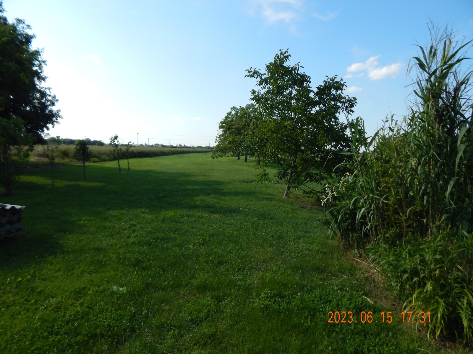 Bild 5 von 17