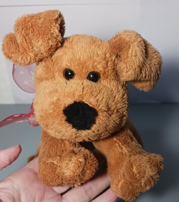 DanDee Collection Dog/Puppy Super Cute 