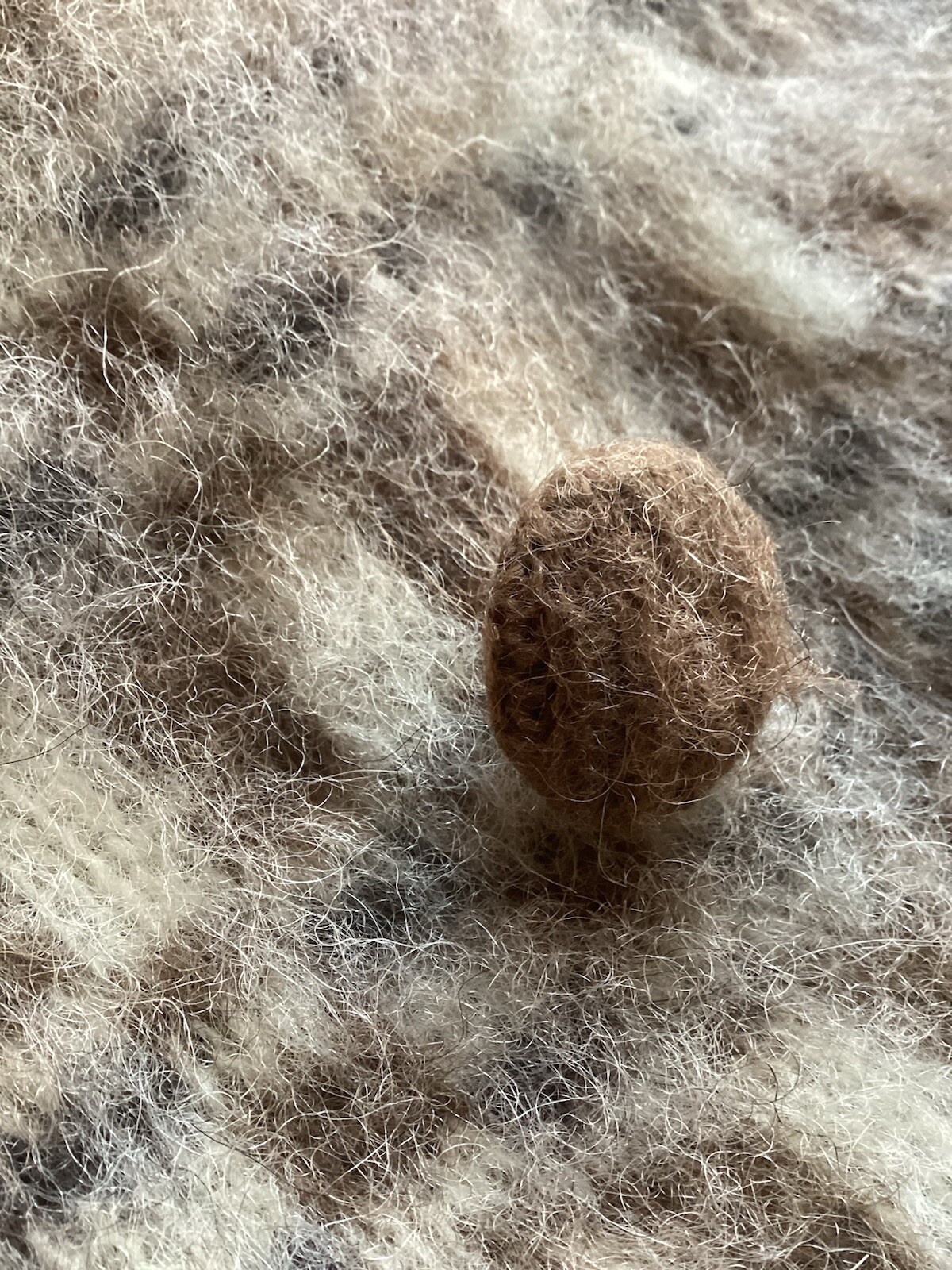 Picture 7 of 7