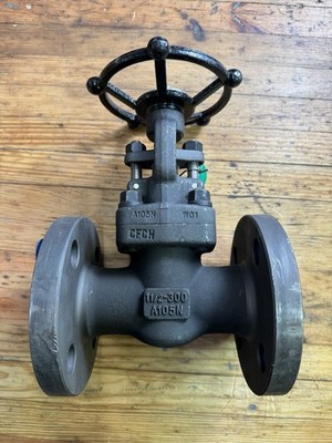 NEW Powell Valve GA01FA58GB 1-1/2'' Gate Valve  A105 Class 300 Flanged Graphite