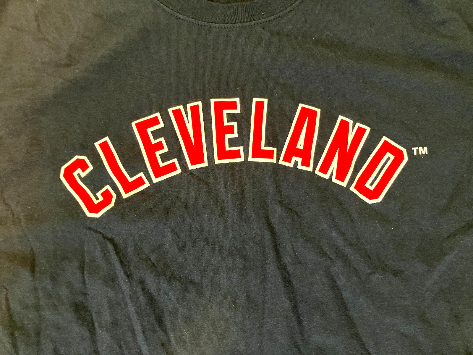 Gildan Cleveland Men's XL T-shirt Navy Blue image 4