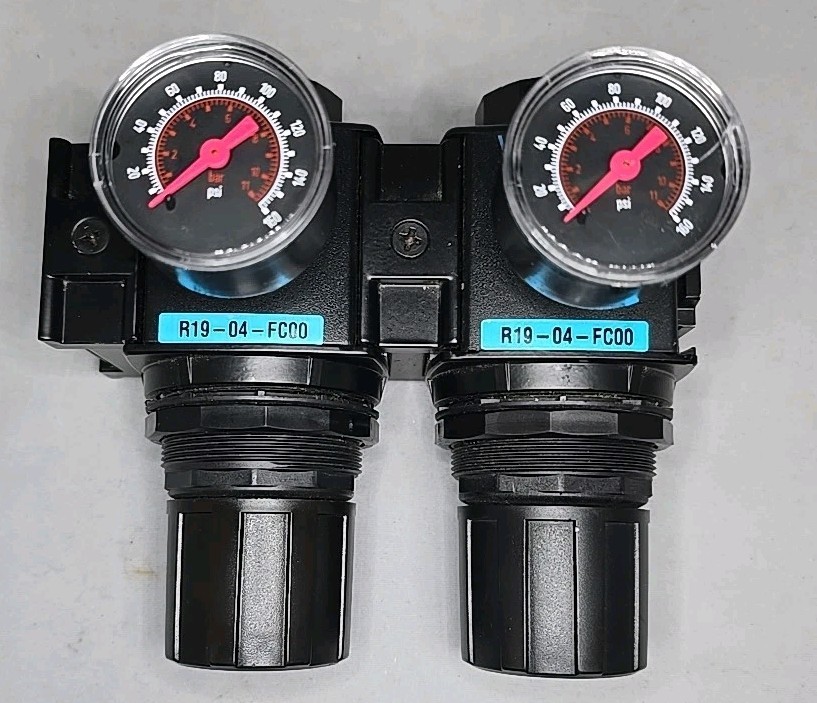 (2) Wilkerson R19-04-FC00 Manual Pressure Regulator (1/2" FNPT) 300psi Max