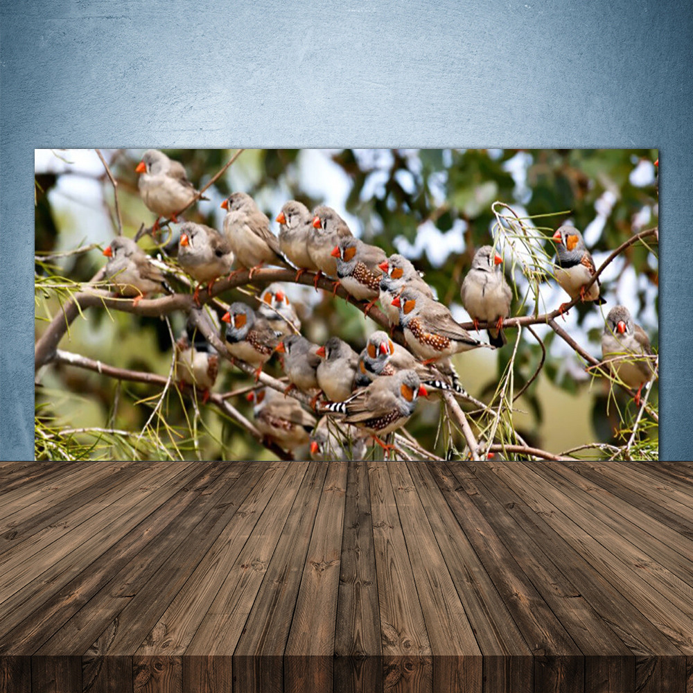 Crédence de cuisine en verre trempé 140x70 design oiseaux luxe