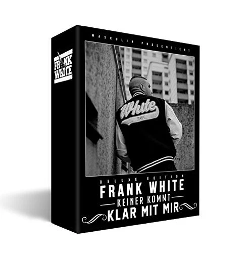 Sammelauflösung von 250 Fan Deluxe Boxen Rap, Pop, Rock, Metal, Dance, Raggae - Bild 85 von 253