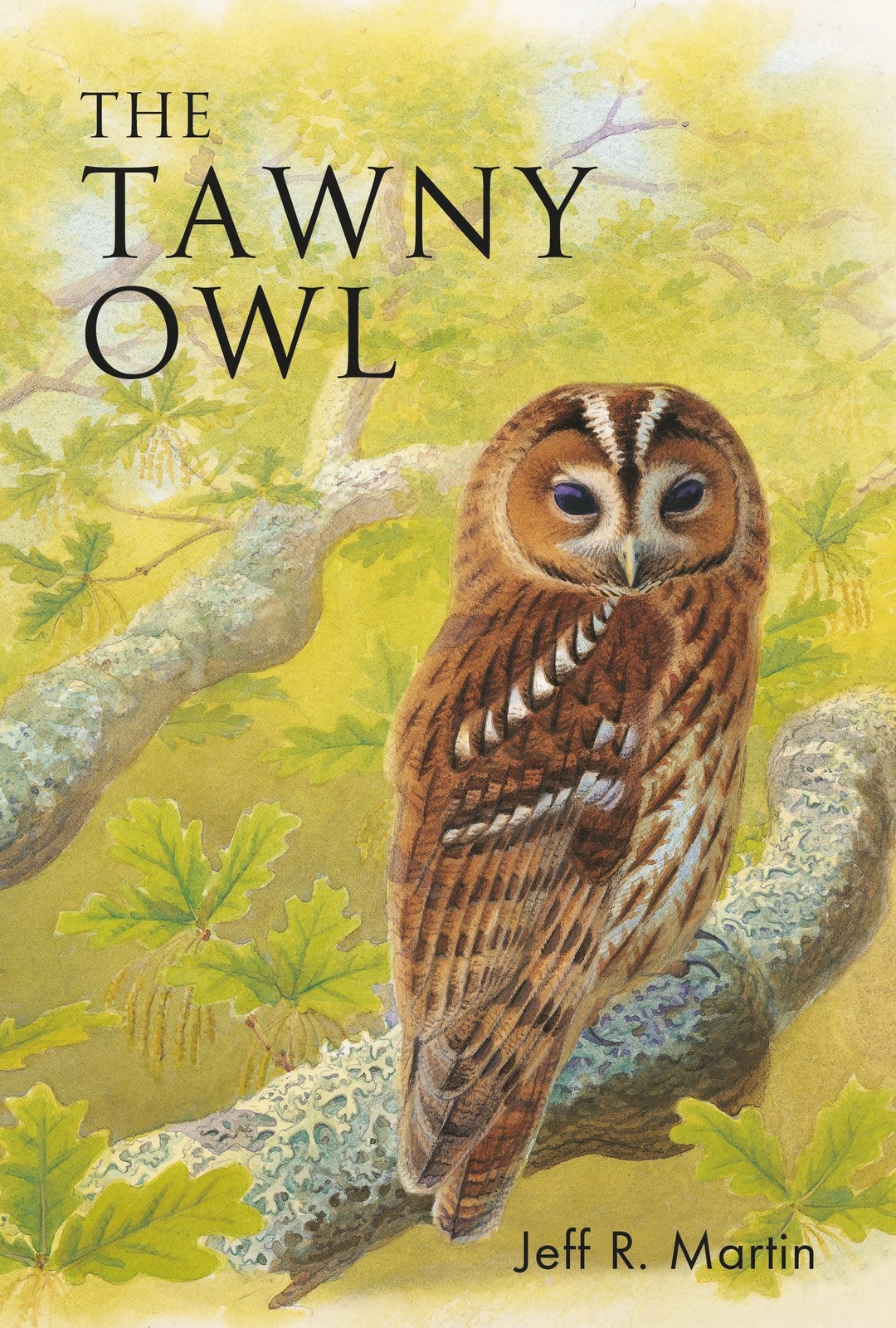 Thumbnail - Jeff Martin | The Tawny Owl | Taschenbuch | Englisch (2022) |