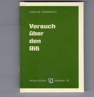 Versuch über den Riß von Caroline Sommerfeld