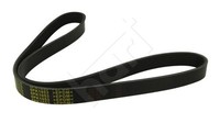 Hart 368 800 Keilrippenriemen FüR Audi CitroËN Passend FüR Fiat Ford Isuzu