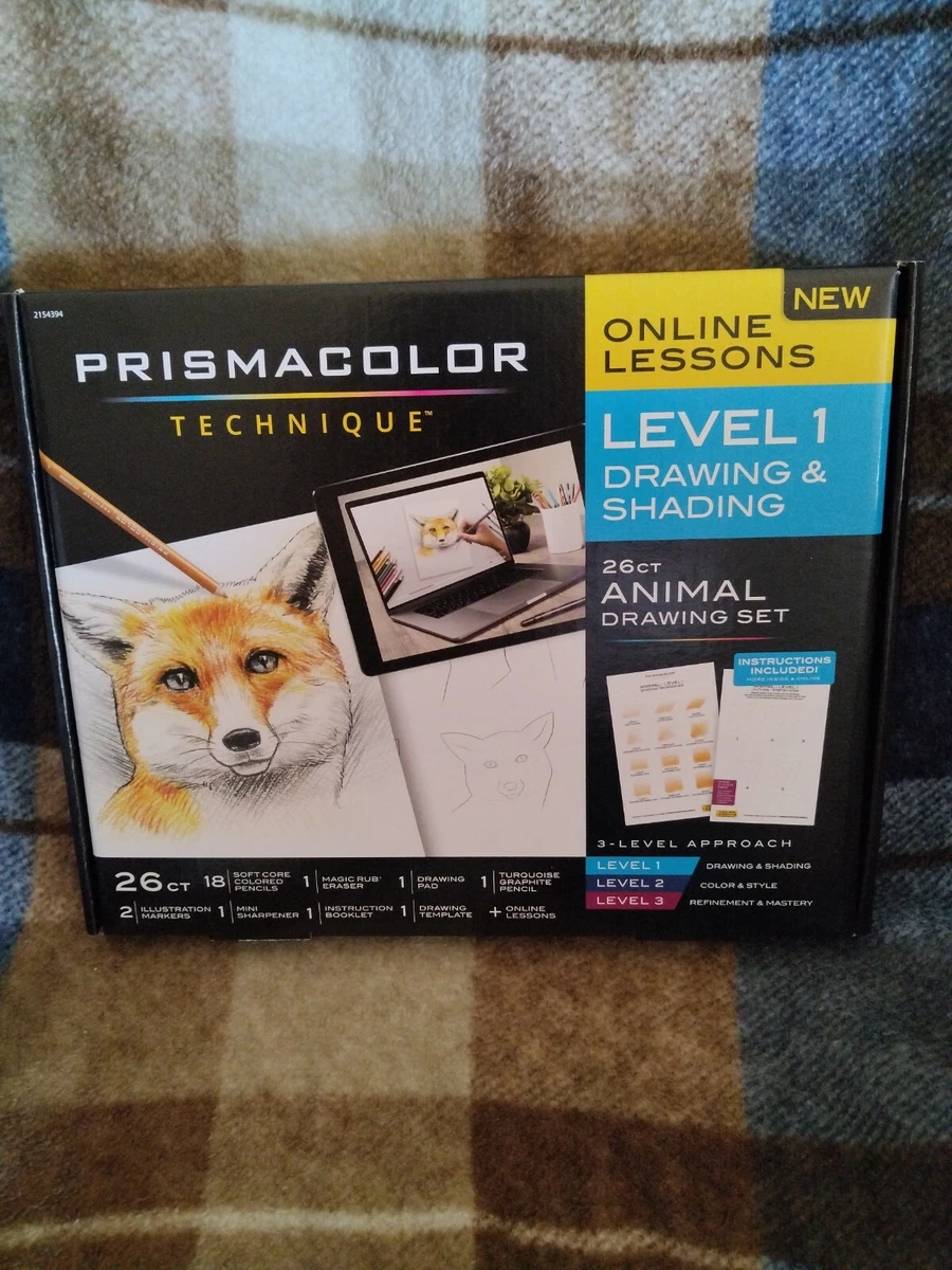 Prismacolor Procedure, Workmanship Supplies and Advanced Craftsmanship Illustrat