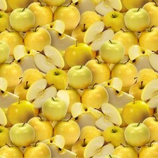 Food Fabric Fruit Veggie Packed Golden Delicious Apple David Textiles YARD