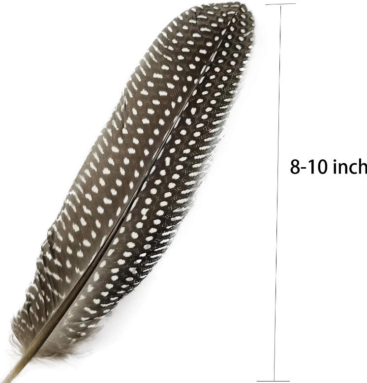 20pcs 6-9 inch Natural Guinea Wing Plumage Feather DIY Craft Jewelry Cloth Decor