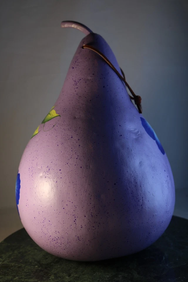 Hand Painted Gourd Hanging Birdhouse Bluebird/Carolina Wren House Signed 2010 - Image 3 of 4