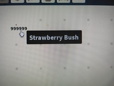 Roblox Islands 1m Strawberry Bush Dev Item 1b Value Each Bush