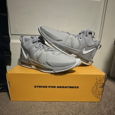 Nike LeBron Witness 7 TB Men s Basketball Wolf Grey White DZ3299-002