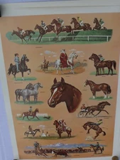 Horses poster 1959 