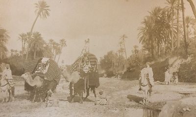 Algerien Albenabzug Reise 1884 26,7cm x 16,2cm anonym Dromedare