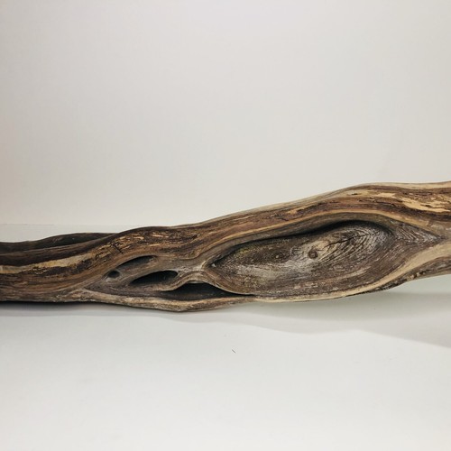 Manzanita Wood Branch Reptile Terrarium Decor Air Plant Display - Picture 4 of 10