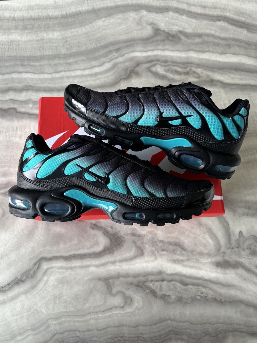 Nike Air Max Plus TN Black Dusty Cactus DM0032-016 UK 10.5 Brand