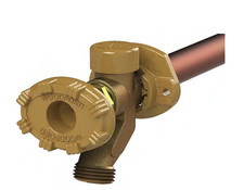 Woodford 19CP-8 Freezeless Anti-Siphon Wall Faucet 1/2" MPT x 1/2" Female Sweat
