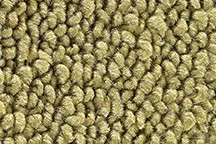 FITS 1968-1972 Chevrolet Chevelle Malibu 2DR Auto Loop Carpet