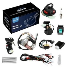 Complete Wiring Harness Kit Compatible with Tao tao Coolster 125cc Chinese