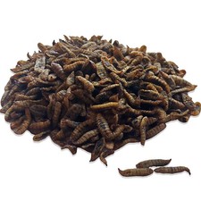 VITAMORSEL 18LB Dried Black Soldier Fly Larvae for Chickens