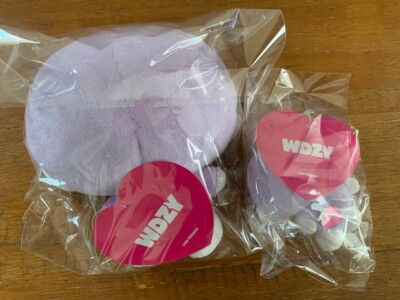 ITZY WDZY Plush Doll Size S & Plush Bag Charm Set LINE FRIENDS