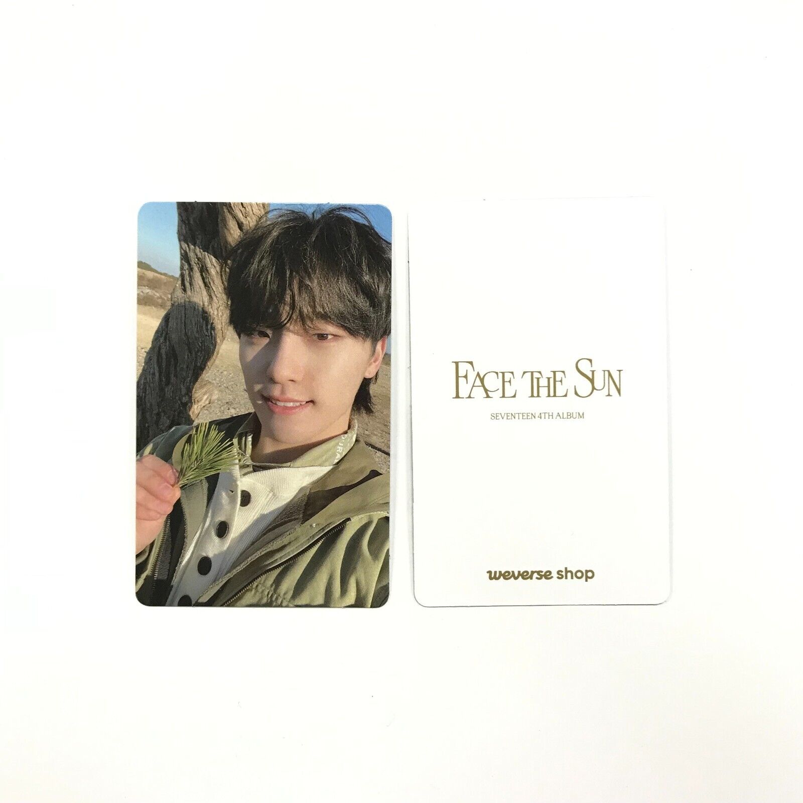 SEVENTEEN ラキドロ weverse Face The Sun ディノ