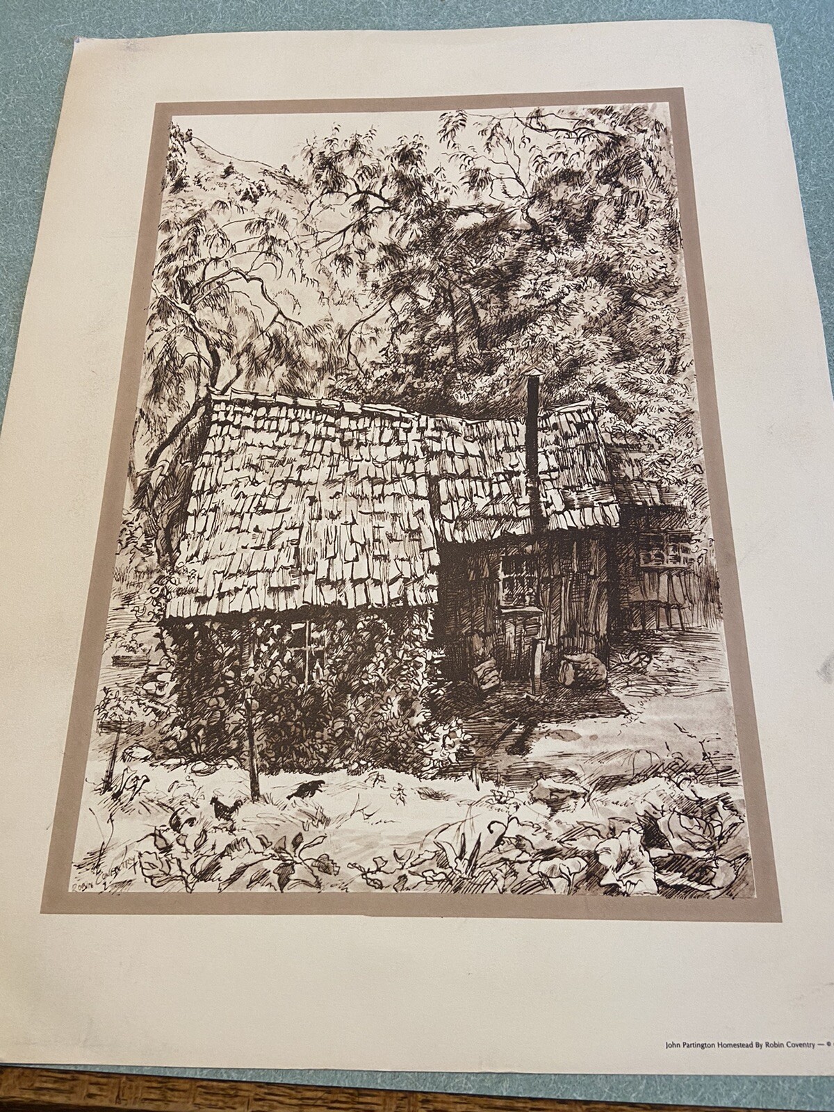 Picture 10 of 10