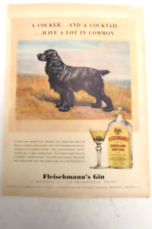 Fleisehmann's Gin  A COCKER AND A COCKTAIL  Magazine Print  Advertising