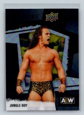 2022 Upper Deck Allure AEW All Elite Wrestling Black Rainbow #10 Jack Perry