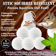NEW! Attic Squirrel Repellent.  DRIVES SQUIRRELS OUT FAST! 5 PK