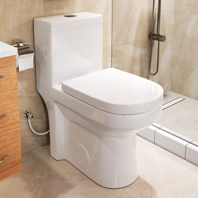 HOROW Dual Flush Elongated One Piece Toilet W/ Soft Closing Seat