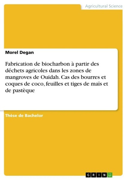 Morel Degan | Fabrication De Biocharbon à Partir Des DéChets Agricoles Dans...-image