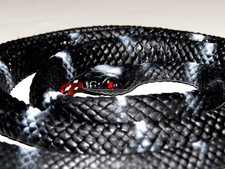 Hand Painted Realistic Looking Plastic PVC Ve...