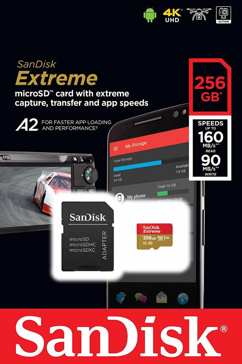 Carte SD SanDisk 256 Go Micro Extreme snowboarding 4K pour GoPro Hero 12 11  10 9