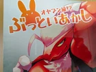 POKEMON doujinshi Talonflame Blaziken Ho-oh Staraptor etc. (B5 68pages) buttoi