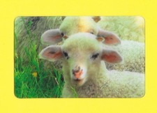 Carte Cora / Match - N°17/44 - Agneau