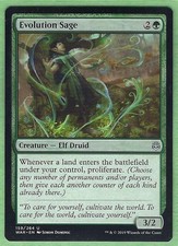 Evolution Sage  Lorwyn Eclipsed MTG - NM