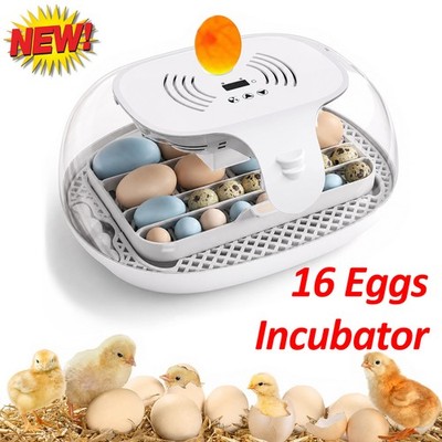 16 Eggs Incubator for Hatching Eggs with Automatic Egg Turning&Auto Water Adding