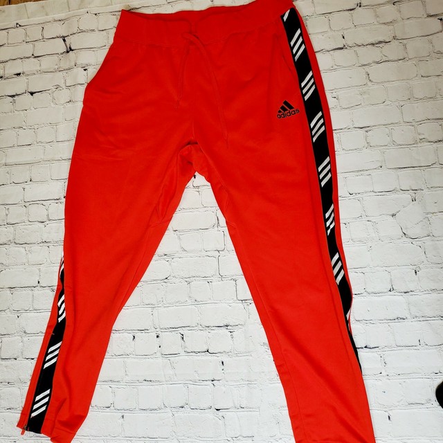 adidas pro madness pants