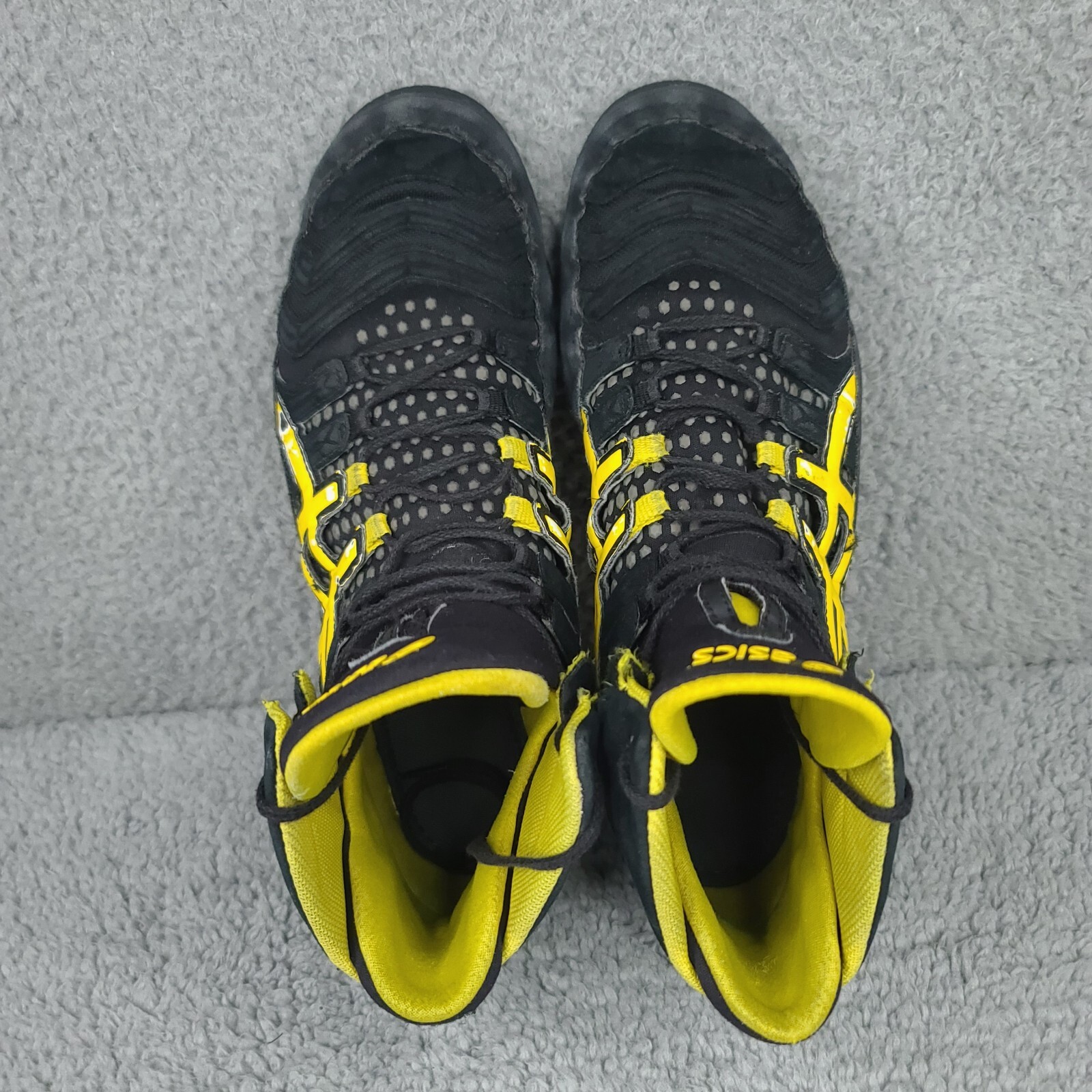 dan gable ultimate 4 blue