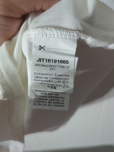 SHEIN Basic White Short-Sleeve Fitted Women's Top - Size M #IK - Picture 4 of 5