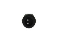 Bosch Sensor, Ansauglufttemperatur 0 281 002 012