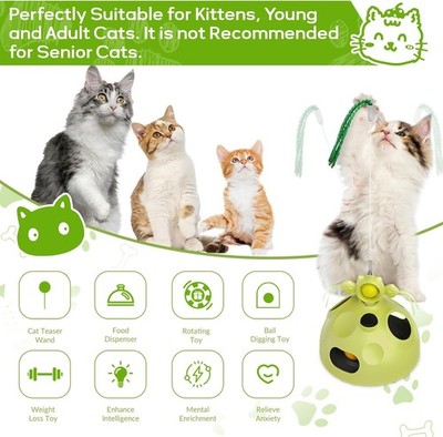 Cat Slow Feeder Ball 2026 - Vet Ranch - We Love Pets