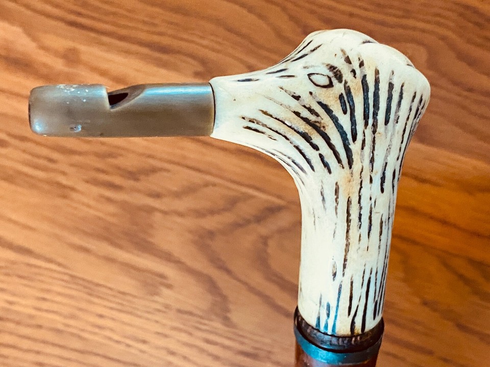 A carved stag-handle cane with a hidden whistle and zebra-striped shaft — the exact kind of outrageous Victorian gentleman's curiosity that belongs in a study next to a globe.