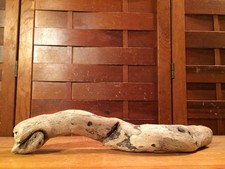 Beautiful 14" DRIFTWOOD Piece Art Terrarium Taxidermy Aquarium Beach Wood DECOR