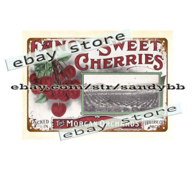 metal wall art living room Morgan Orchards of Traverse City metal tin sign