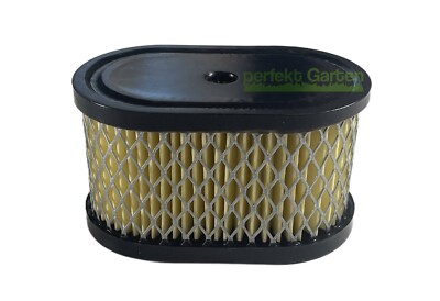 Luftfilter für Briggs & Stratton B&S Motor 5-6PS 099700 12U800 / Sabo SA26630